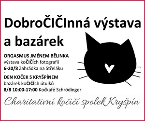 Charitativní kočičí spolek Kryšpín