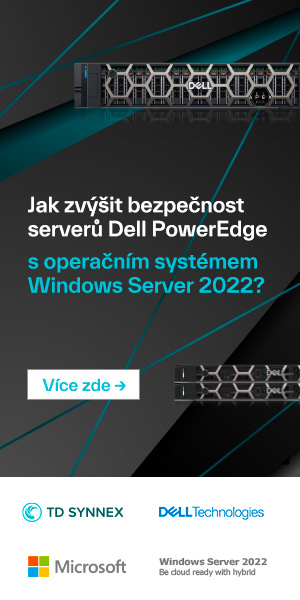 TD Synnex Windows Server 2022